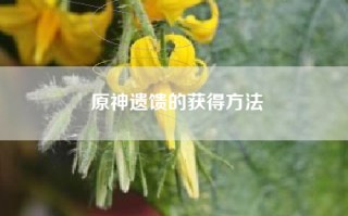原神遗馈的获得方法