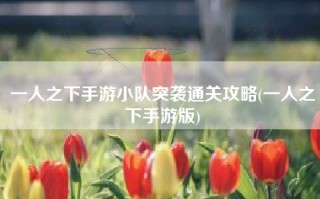 一人之下手游小队突袭通关攻略(一人之下手游版)