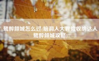 鹭醉倾城怎么过(脑洞人大冒险收纳达人鹭醉倾城攻略)