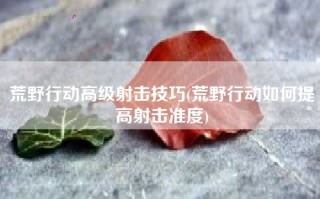 荒野行动高级射击技巧(荒野行动如何提高射击准度)
