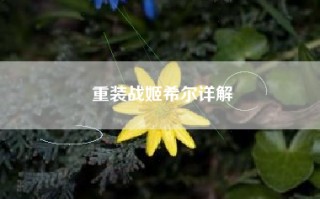 重装战姬希尔详解
