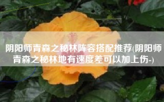 阴阳师青森之秘林阵容搭配推荐(阴阳师青森之秘林地有速度差可以加上伤-)