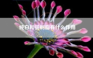 纯白和弦树脂有什么作用