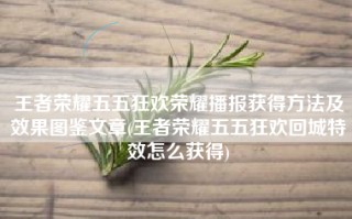 王者荣耀五五狂欢荣耀播报获得方法及效果图鉴文章(王者荣耀五五狂欢回城特效怎么获得)
