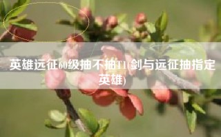 英雄远征60级抽不抽T1(剑与远征抽指定英雄)