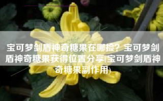 宝可梦剑盾神奇糖果在哪捡？宝可梦剑盾神奇糖果获得位置分享(宝可梦剑盾神奇糖果副作用)