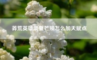 莽荒英雄录夏芒殒怎么加天赋点
