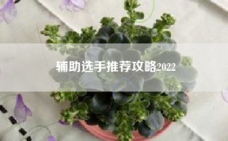 辅助选手推荐攻略2022