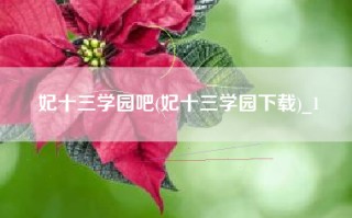 妃十三学园吧(妃十三学园下载)_1