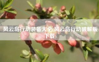 风云岛行动装备大全(风云岛行动破解版下载)