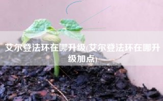 艾尔登法环在哪升级(艾尔登法环在哪升级加点)