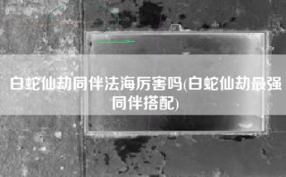 白蛇仙劫同伴法海厉害吗(白蛇仙劫最强同伴搭配)