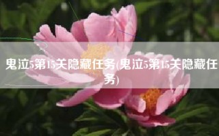 鬼泣5第15关隐藏任务(鬼泣5第15关隐藏任务)