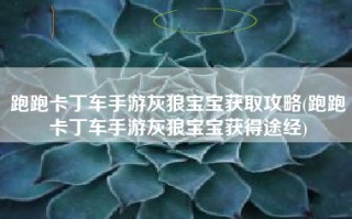跑跑卡丁车手游灰狼宝宝获取攻略(跑跑卡丁车手游灰狼宝宝获得途经)