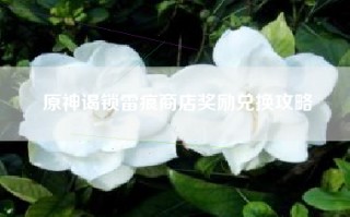 原神谒锁雷痕商店奖励兑换攻略