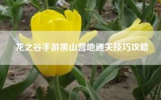 龙之谷手游黑山营地通关技巧攻略
