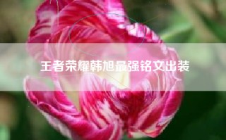 王者荣耀韩旭最强铭文出装