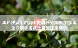 黑色沙漠手游武士觉醒任务流程介绍(黑色沙漠手游武士觉醒还是继承)