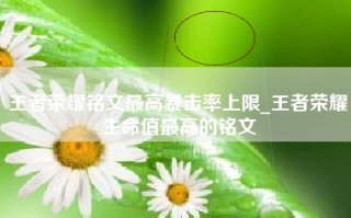 王者荣耀铭文最高暴击率上限_王者荣耀生命值最高的铭文