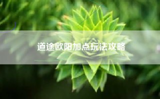 道途欧阳加点玩法攻略