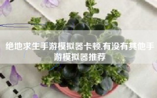 绝地求生手游模拟器卡顿,有没有其他手游模拟器推荐