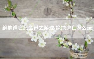绝地逃亡怎么进去游戏(绝地逃亡怎么玩)