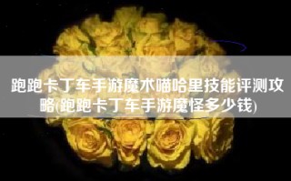 跑跑卡丁车手游魔术喵哈里技能评测攻略(跑跑卡丁车手游魔怪多少钱)
