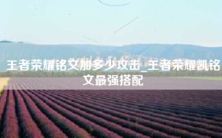 王者荣耀铭文加多少攻击_王者荣耀凯铭文最强搭配