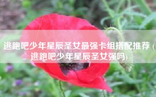 逃跑吧少年星辰圣女最强卡组搭配推荐 (逃跑吧少年星辰圣女强吗)