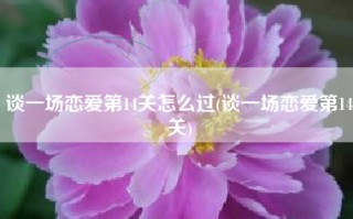 谈一场恋爱第14关怎么过(谈一场恋爱第14关)