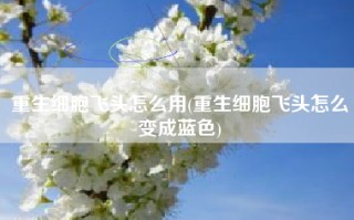 重生细胞飞头怎么用(重生细胞飞头怎么变成蓝色)