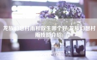 龙族幻想村雨和双生哪个好(龙族幻想村雨技能介绍)