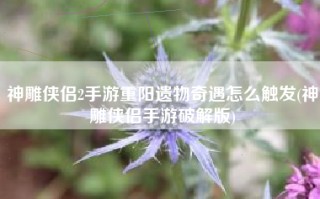 神雕侠侣2手游重阳遗物奇遇怎么触发(神雕侠侣手游破解版)