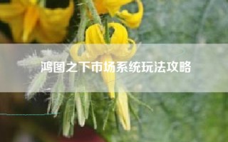 鸿图之下市场系统玩法攻略