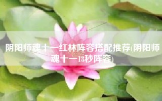 阴阳师魂十一红林阵容搭配推荐(阴阳师魂十一18秒阵容)