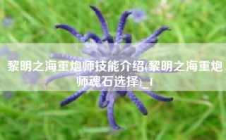 黎明之海重炮师技能介绍(黎明之海重炮师魂石选择)_1