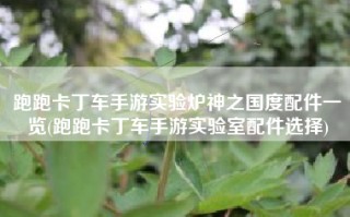 跑跑卡丁车手游实验炉神之国度配件一览(跑跑卡丁车手游实验室配件选择)