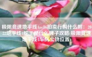 极限竞速地平线4ae86拍卖行叫什么附：2022地平线4蛇王是什么牌子攻略(极限竞速地平线4车房宝物位置)
