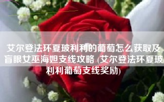 艾尔登法环夏玻利利的葡萄怎么获取及盲眼女巫海妲支线攻略 (艾尔登法环夏玻利利葡萄支线奖励)