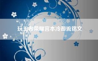 玩王者荣耀宫本冷却流铭文