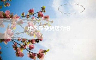 绝区零杂货店介绍