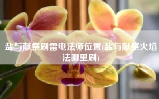 盐与献祭刷雷电法师位置(盐与献祭火焰法哪里刷)