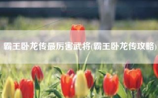 霸王卧龙传最厉害武将(霸王卧龙传攻略)