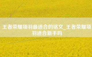 王者荣耀项羽最适合的铭文_王者荣耀项羽适合新手吗