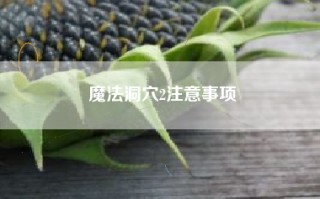 魔法洞穴2注意事项