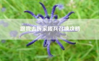 跟我去拆家援兵召唤攻略