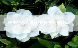 长生劫怎么刷钱快(长生劫刷钱bug)