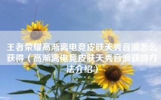 王者荣耀高渐离电竞皮肤天秀音浪怎么获得（高渐离电竞皮肤天秀音浪获得方法介绍）