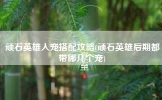 顽石英雄人宠搭配攻略(顽石英雄后期都带哪几个宠)