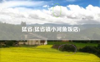 猛省(猛省镇小河鱼饭店)